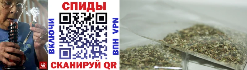 Бутират буратино  Купить  Ивантеевка 