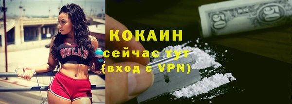 молекула духа Елизово