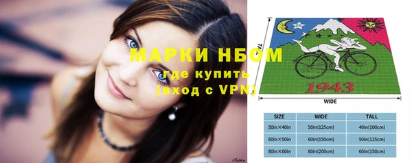 молекула духа Елизово