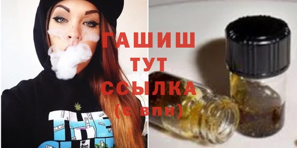 молекула духа Елизово