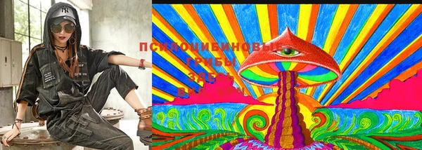 молекула духа Елизово