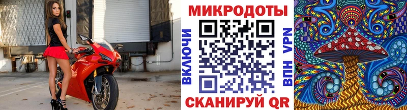 Галлюциногенные грибы Psilocybine cubensis  Купить где  Ивантеевка 